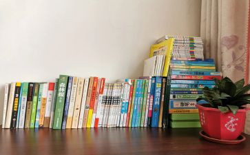 项目暨个人总结最新5篇