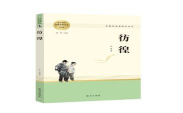 《彷徨》的读后感8篇