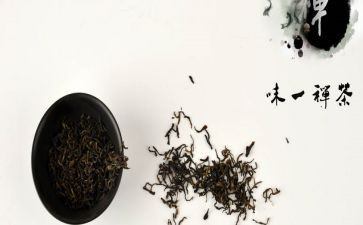 有关禅的作文模板5篇