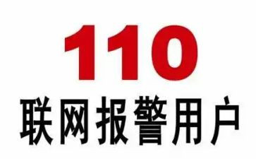 110主题活动策划7篇