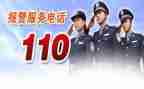 110主题活动策划参考7篇