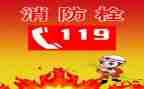 我与119的作文通用5篇