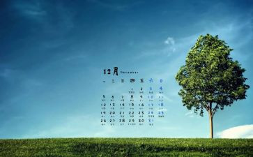 12月工作总结最新5篇