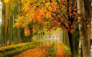 12月工作总结7篇