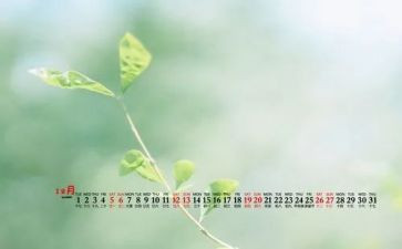 2024年12月安全工作总结6篇