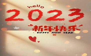 2023年公安分局工作总结8篇