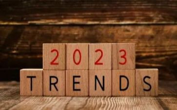 2023年计生协工作总结7篇