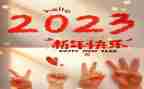 2023青年干部培训总结6篇