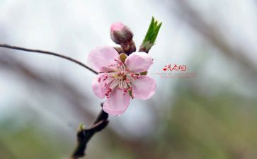 2月教师工作总结8篇