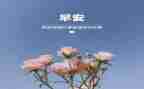 幼儿园教师3月份工作总结6篇