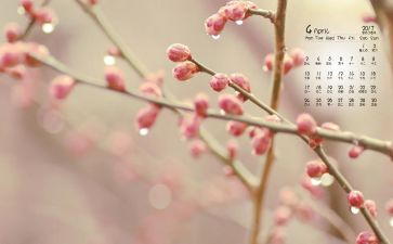 4月大班工作总结8篇
