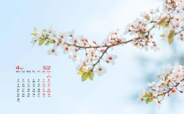4月活动策划5篇