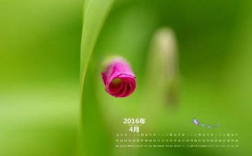 大班4月份月总结8篇