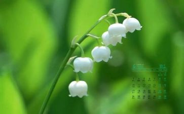 幼儿园教师4月份工作总结6篇
