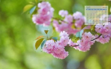 4月演讲稿通用6篇
