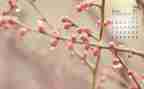 4月大班工作总结8篇