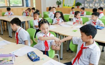 幼儿园单双数的教案8篇