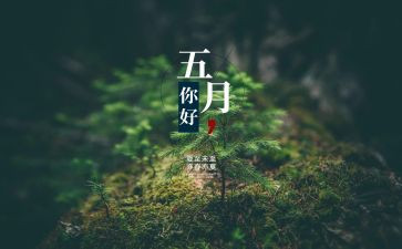 幼儿园2024年5月总结参考5篇