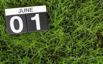 6月党日主题活动方案8篇