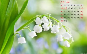 幼儿大班6月份工作总结6篇