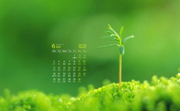 幼儿园6月份月计划6篇