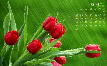 公司6月工作计划7篇