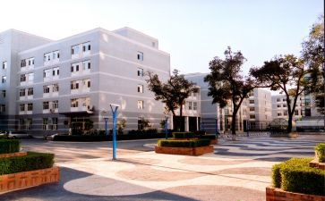 我的985大学作文最新6篇