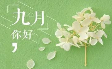 9月周工作计划8篇