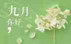 9月周工作计划8篇
