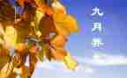 幼儿园9月份的工作总结推荐7篇