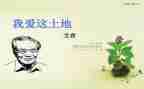 艾青树读后感最新8篇