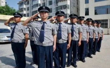 安保员年度个人总结7篇