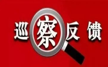 案后整改报告推荐5篇