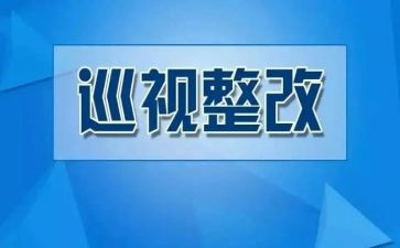 案后整改报告7篇