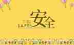 个人年终安全工作总结范文5篇