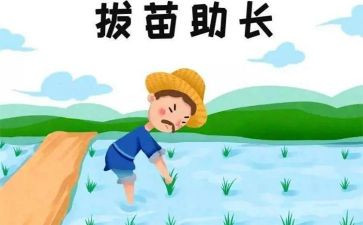 读后感拔苗助长读后感7篇