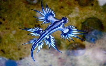 生物教师年度工作报告7篇