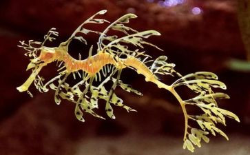 生物教师学期总结5篇
