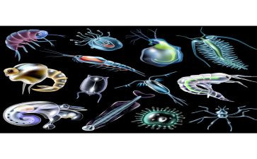 生物教师2023工作计划参考5篇