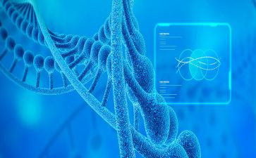 生物教师个人总结范文6篇