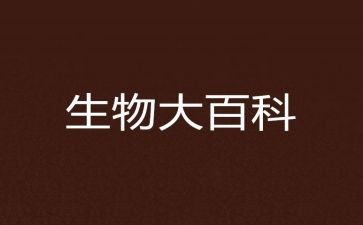 生物组工作总结范文模板7篇