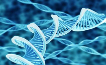 做生物实验的心得7篇
