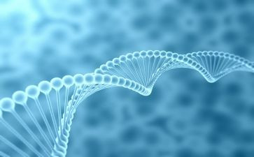 生物个人总结优秀6篇