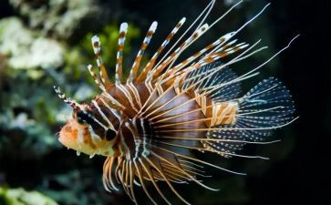 微生物室自查报告5篇