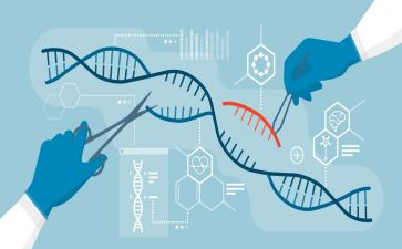 生物个人总结8篇