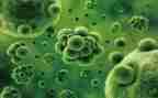 生物教学周工作计划最新5篇