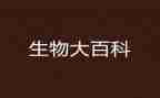 八上生物工作计划模板5篇