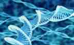 生物老师个人总结推荐7篇