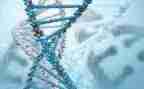 生物教学周工作计划通用6篇