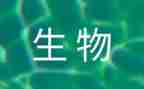 生物教师教师工作计划模板8篇